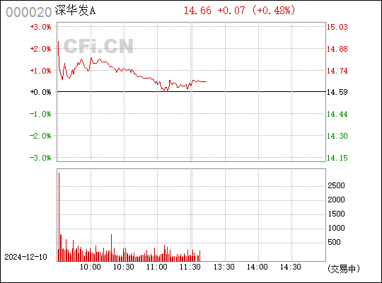 深华发A最新全面消息解析