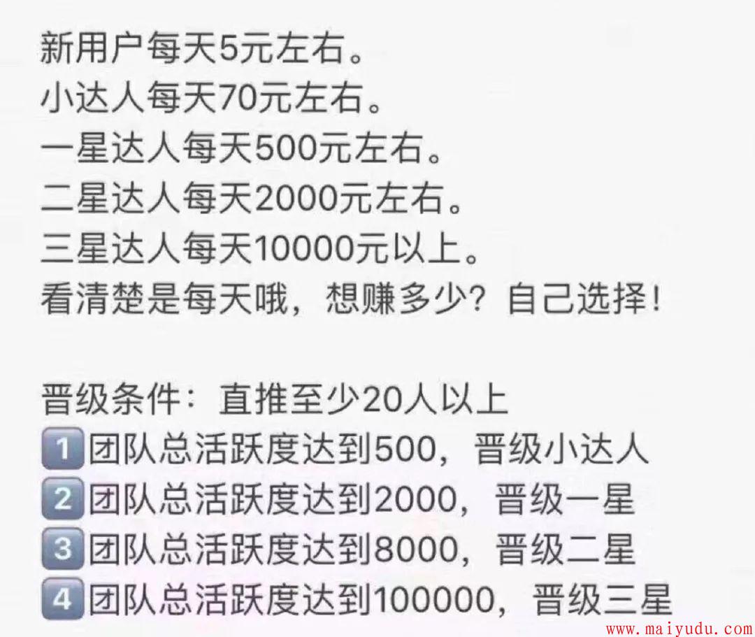 最新网赚项目深度探索与解析