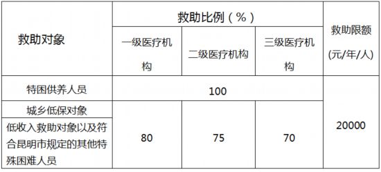 一肖一码100-准资料｜多元化方案执行策略