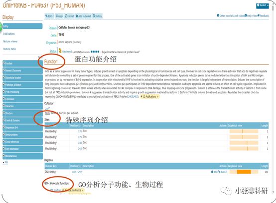 2024澳门历史记录查询｜全面数据应用分析