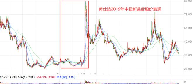 蒋仕波持股情况全面深度解析