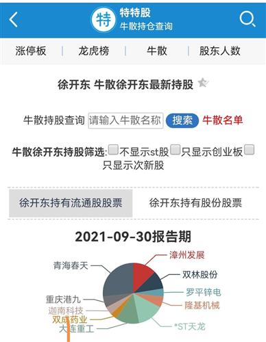 徐开东最新持股深度探究与解析