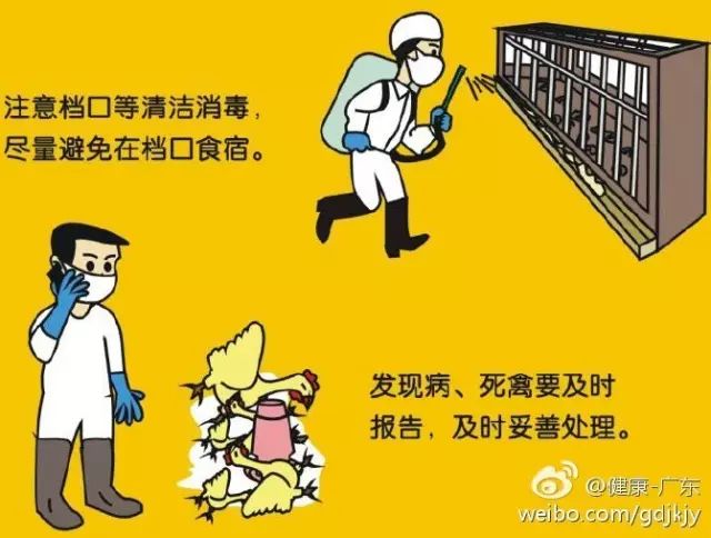 广东H7N9最新动态，全面防控，人民健康保障行动启动