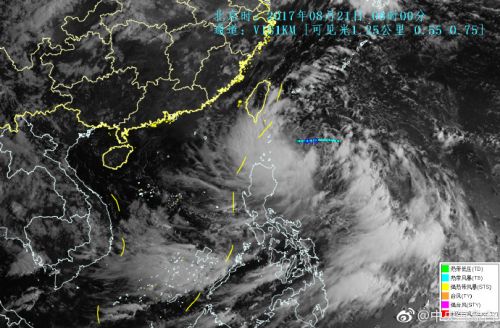 天鸽风台最新动态全面解析