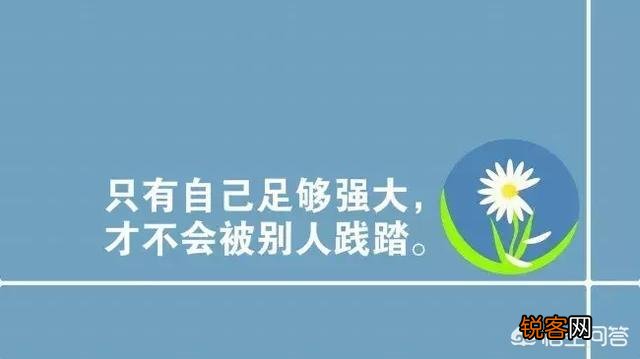 探索时尚、生活与社交新趋势，2016最新说说揭秘