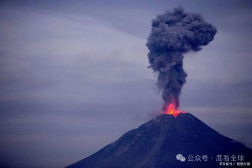 富士山火山最新监测与研究进展揭秘喷发迹象及应对策略