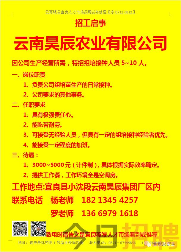 宜良最新招聘信息全面汇总