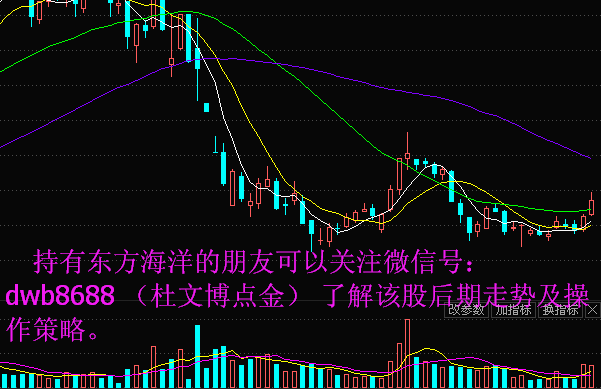 东方海洋最新消息全面解读