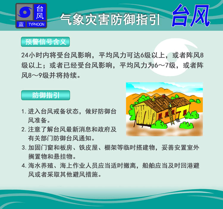 台凤最新动态，影响及趋势分析