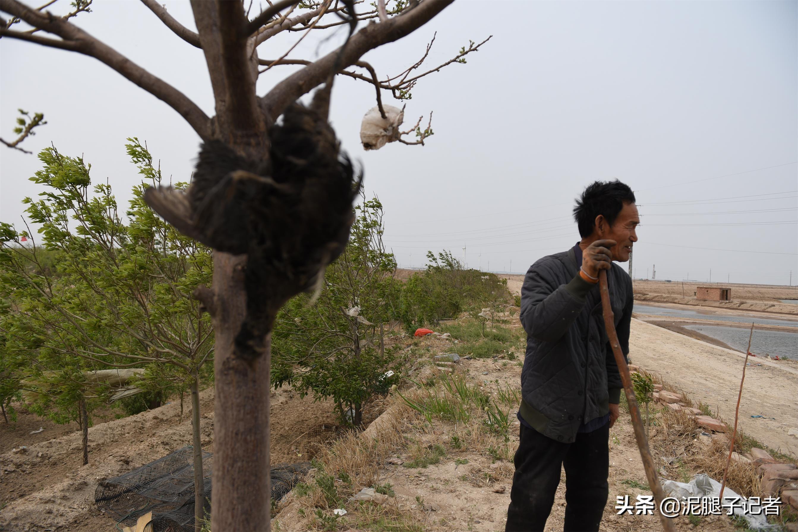 最新地址野鸡网，探索与风险警示