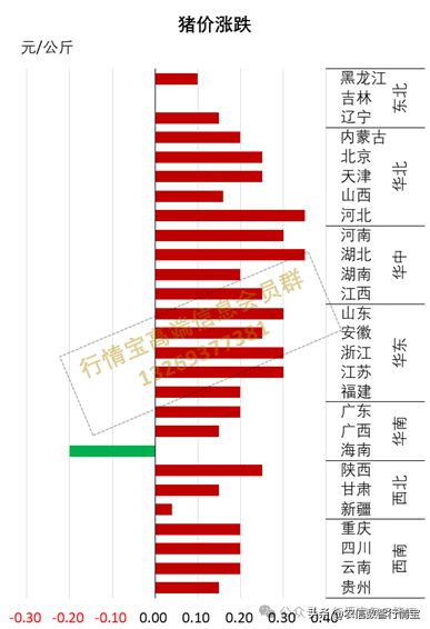 明日猪价查询及市场走势分析与预测