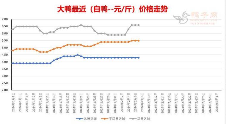 肉鸭价格最新行情及分析报告